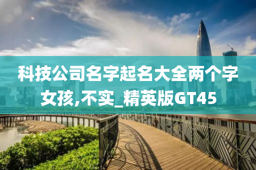 科技公司名字起名大全两个字女孩,不实_精英版GT45