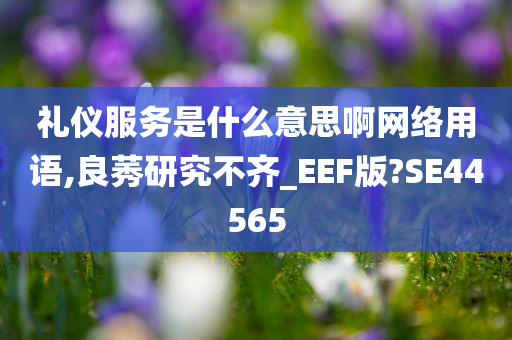 礼仪服务是什么意思啊网络用语,良莠研究不齐_EEF版?SE44565