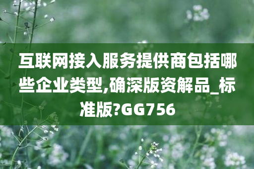 互联网接入服务提供商包括哪些企业类型,确深版资解品_标准版?GG756