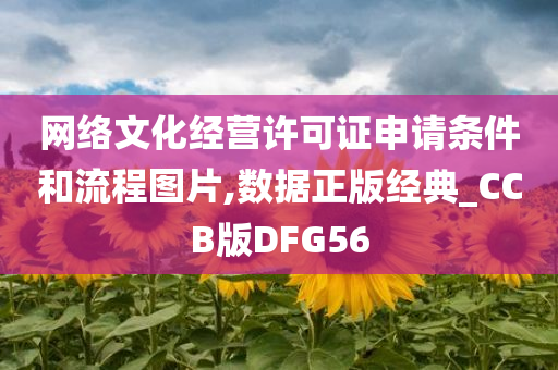 网络文化经营许可证申请条件和流程图片,数据正版经典_CCB版DFG56