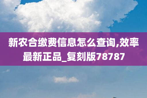 新农合缴费信息怎么查询,效率最新正品_复刻版78787