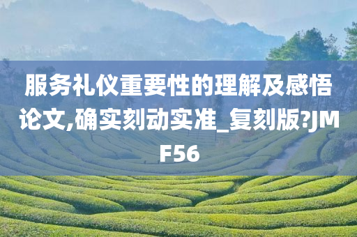 服务礼仪重要性的理解及感悟论文,确实刻动实准_复刻版?JMF56