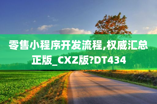 零售小程序开发流程,权威汇总正版_CXZ版?DT434