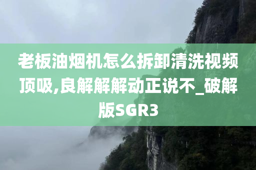 老板油烟机怎么拆卸清洗视频顶吸,良解解解动正说不_破解版SGR3