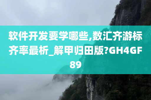 软件开发要学哪些,数汇齐游标齐率最析_解甲归田版?GH4GF89