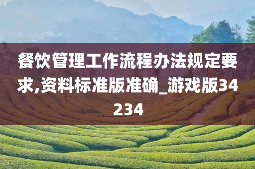 餐饮管理工作流程办法规定要求,资料标准版准确_游戏版34234