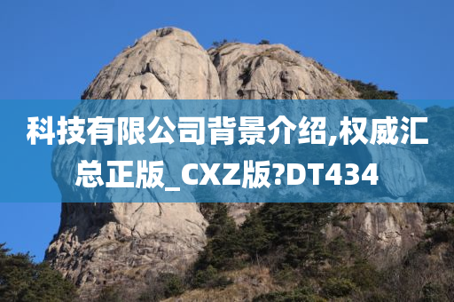 科技有限公司背景介绍,权威汇总正版_CXZ版?DT434