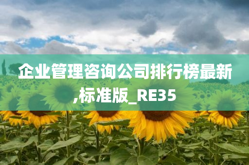 企业管理咨询公司排行榜最新,标准版_RE35