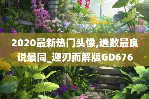 2020最新热门头像,选数最良说最同_迎刃而解版GD676