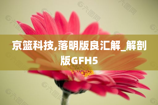 京篮科技,落明版良汇解_解剖版GFH5