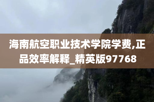 海南航空职业技术学院学费,正品效率解释_精英版97768