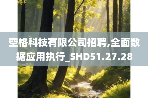 空格科技有限公司招聘,全面数据应用执行_SHD51.27.28