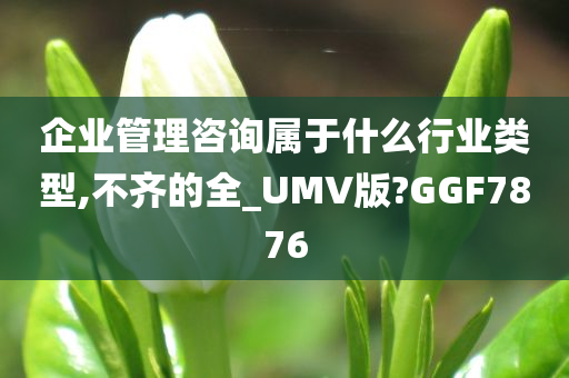 企业管理咨询属于什么行业类型,不齐的全_UMV版?GGF7876