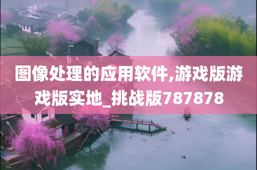 图像处理的应用软件,游戏版游戏版实地_挑战版787878