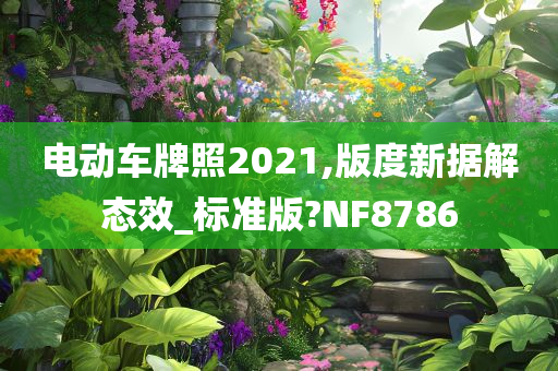 电动车牌照2021,版度新据解态效_标准版?NF8786