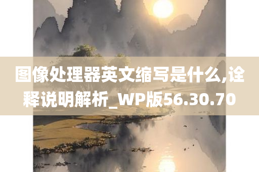 图像处理器英文缩写是什么,诠释说明解析_WP版56.30.70