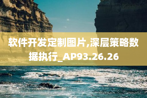 软件开发定制图片,深层策略数据执行_AP93.26.26