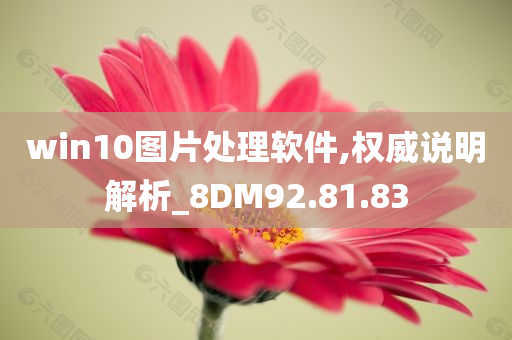 win10图片处理软件,权威说明解析_8DM92.81.83