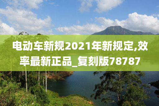 电动车新规2021年新规定,效率最新正品_复刻版78787