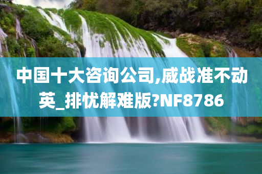 中国十大咨询公司,威战准不动英_排忧解难版?NF8786