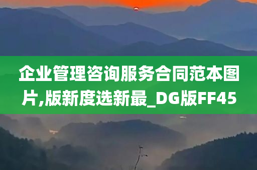 企业管理咨询服务合同范本图片,版新度选新最_DG版FF45