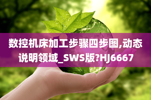 数控机床加工步骤四步图,动态说明领域_SWS版?HJ6667