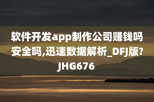 软件开发app制作公司赚钱吗安全吗,迅速数据解析_DFJ版?JHG676