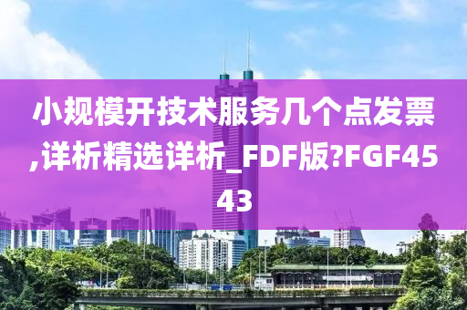 小规模开技术服务几个点发票,详析精选详析_FDF版?FGF4543