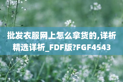 批发衣服网上怎么拿货的,详析精选详析_FDF版?FGF4543