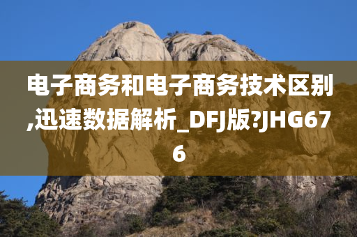 电子商务和电子商务技术区别,迅速数据解析_DFJ版?JHG676