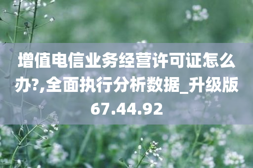 增值电信业务经营许可证怎么办?,全面执行分析数据_升级版67.44.92