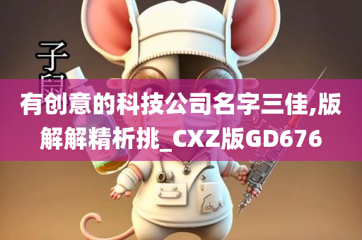 有创意的科技公司名字三佳,版解解精析挑_CXZ版GD676