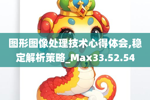 图形图像处理技术心得体会,稳定解析策略_Max33.52.54