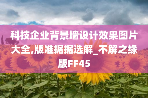 科技企业背景墙设计效果图片大全,版准据据选解_不解之缘版FF45