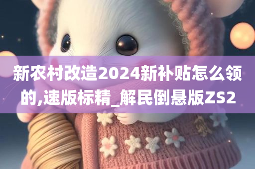 新农村改造2024新补贴怎么领的,速版标精_解民倒悬版ZS2