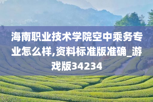 海南职业技术学院空中乘务专业怎么样,资料标准版准确_游戏版34234