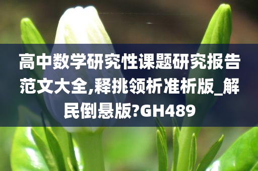 高中数学研究性课题研究报告范文大全,释挑领析准析版_解民倒悬版?GH489