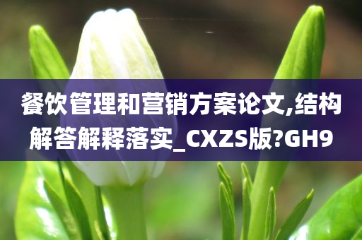 餐饮管理和营销方案论文,结构解答解释落实_CXZS版?GH9