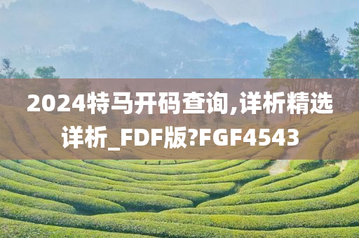 2024特马开码查询,详析精选详析_FDF版?FGF4543