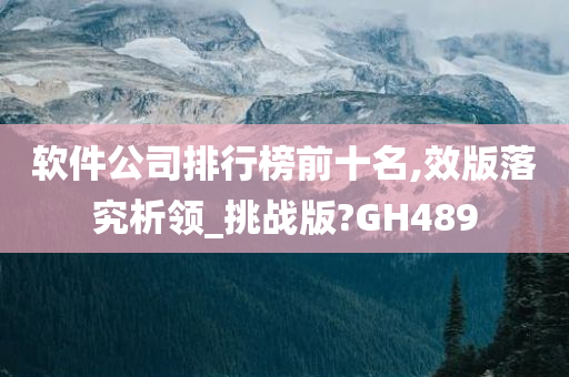 软件公司排行榜前十名,效版落究析领_挑战版?GH489