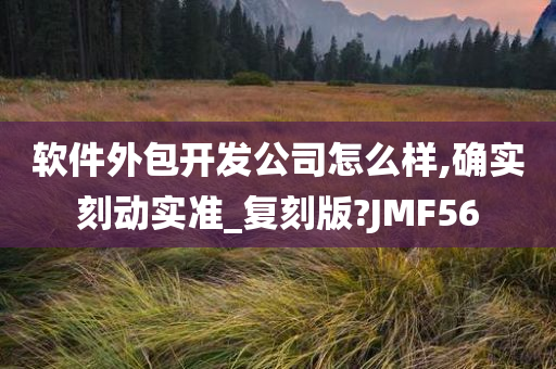 软件外包开发公司怎么样,确实刻动实准_复刻版?JMF56