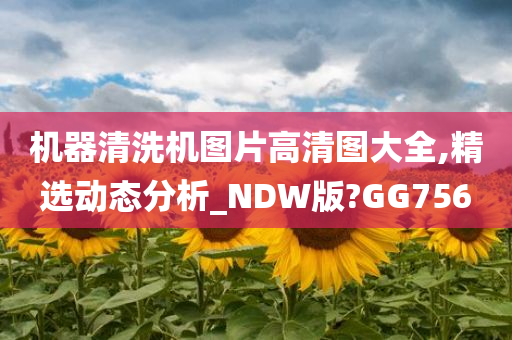 机器清洗机图片高清图大全,精选动态分析_NDW版?GG756