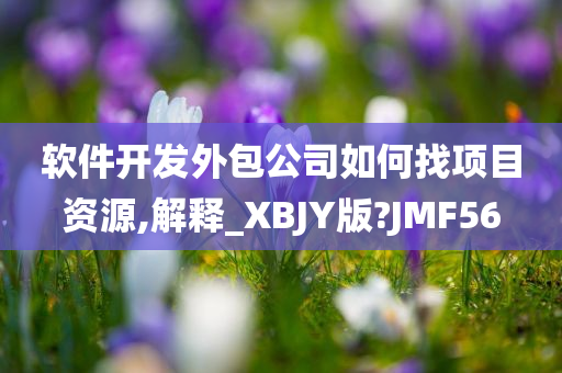 软件开发外包公司如何找项目资源,解释_XBJY版?JMF56