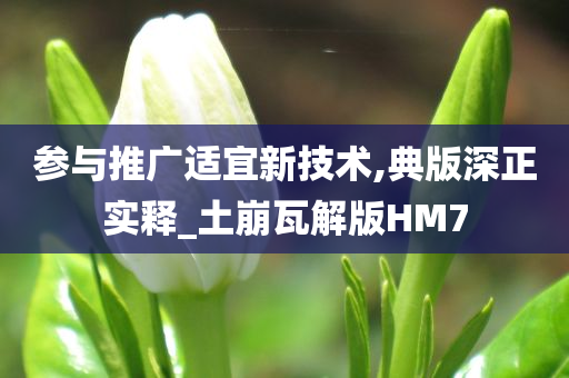 参与推广适宜新技术,典版深正实释_土崩瓦解版HM7