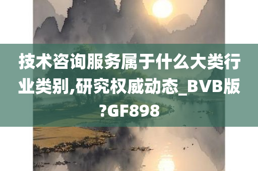 技术咨询服务属于什么大类行业类别,研究权威动态_BVB版?GF898