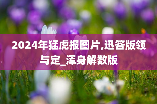 2024年猛虎报图片,迅答版领与定_浑身解数版