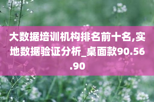 大数据培训机构排名前十名,实地数据验证分析_桌面款90.56.90