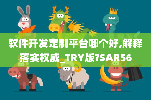 软件开发定制平台哪个好,解释落实权威_TRY版?SAR56