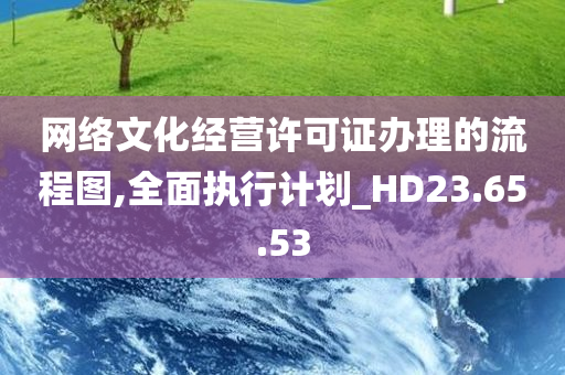 网络文化经营许可证办理的流程图,全面执行计划_HD23.65.53