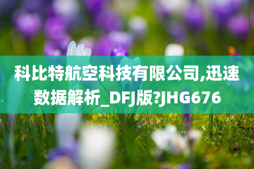 科比特航空科技有限公司,迅速数据解析_DFJ版?JHG676